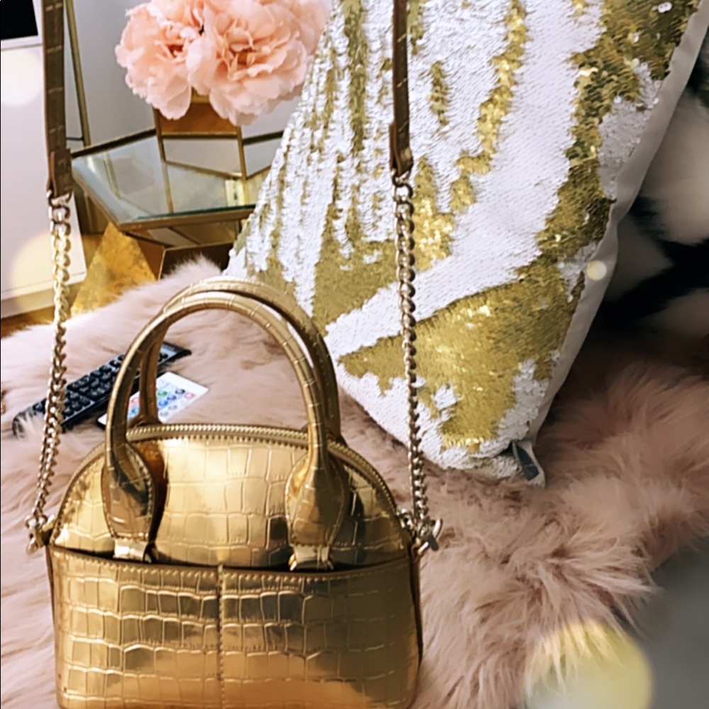 Zara mini gold bag !